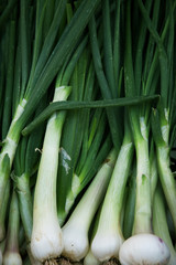 Obraz premium Close up of chives 