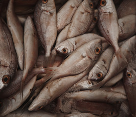 Obraz premium Fresh raw fish in market 