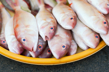 fresh fish on asian street market