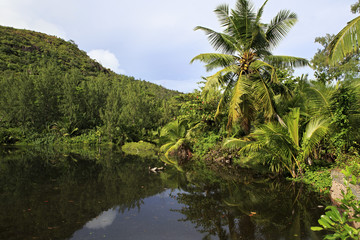 Obraz premium Beautiful lake with palm trees near the Le Chevalier Bay