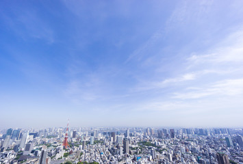 東京都市風景　六本木超高層ビルから望む東京タワーと町並　青空　新緑