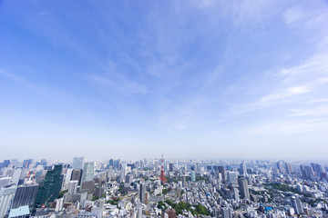 東京都市風景　六本木超高層ビルから望む東京タワーと町並　青空　新緑