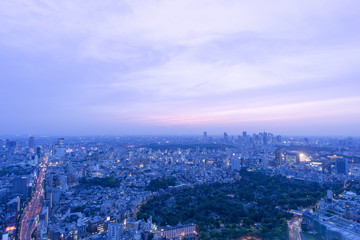 東京都市風景　六本木超高層ビルから望む東京街並全景　夕景　夜景　渋谷　新宿高層ビル