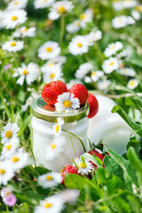 organic yogurt