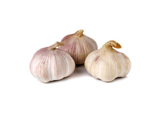 Obraz premium whole garlic bulb on white background
