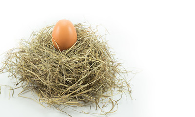 Hen egg on nest