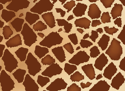 pelle di giraffa