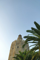 Torre del Oro, Sevilla, im Abendlicht mit Palmen