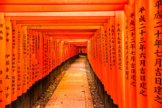 Fushimi Inari Taisha Shrine in Kyoto,