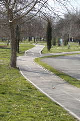 Asphalt bike track in park for bicycle