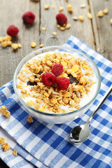 Muesli with yogurt in a bowl 
