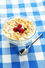 Muesli with yogurt in a bowl 