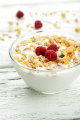 Muesli with yogurt in a bowl 
