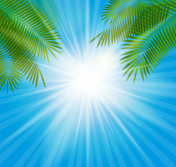 Obraz na płótnie Canvas Summer Sunny Natural Background Vector Illustration