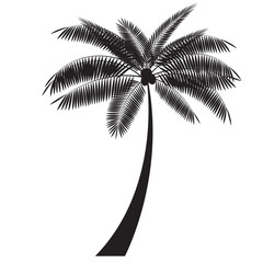 Palm Leaf Vector Illustration