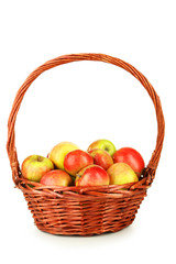 Beautiful apples in basket isolated on white