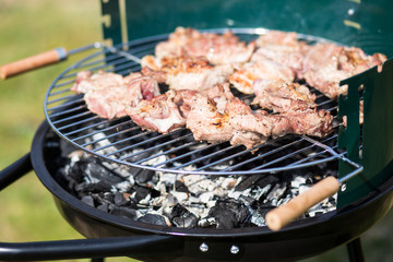 Pork Meat Chop Preparing On Barbecue Gril