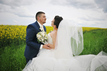 beautiful wedding couple at the field of yellow flowers