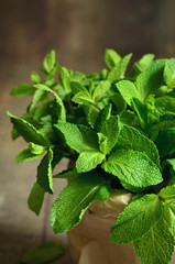 Bunch of the mint in a paper packet.