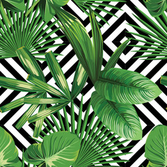 Fototapety  tropikalny wzór liści palmowych, geometryczne tło