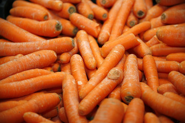 Group of fresh carrots
