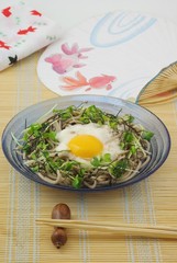 冷し蕎麦