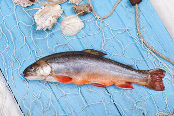 Saibling im Fischernetz