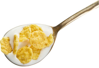 Cornflakes in the silver spoon on white background.