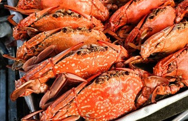 Freshly steamed crabs in a market/ Close up 