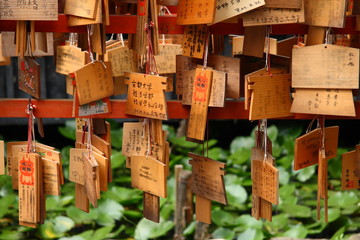 Wooden prayer tablets in a temple (Kyoto, Japan)