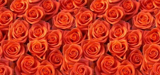 Foto op Canvas Rode rozen naadloos patroon © vlukas