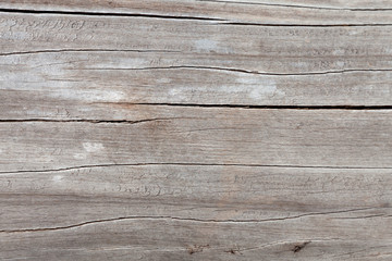 Fototapeta premium wood texture