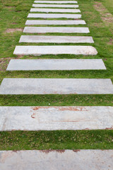 Obraz premium Walkway on green grass