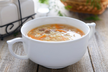 Noodle soup with carrots and poultry