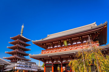 Fototapeta premium Sensoji-ji, Temple in Asakusa, Tokyo, Japan.