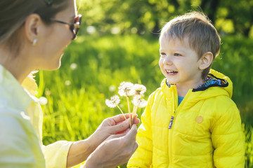 Cute toddler boy making a wish before blowing dried dandelions