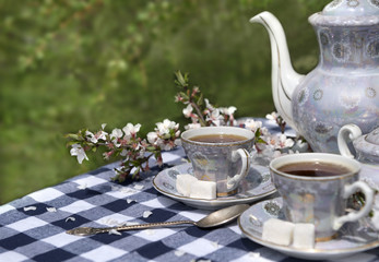 Afternoon tea in the spring garden