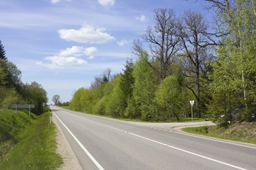 Fototapeta na wymiar forest highway