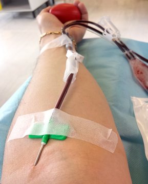 blood donor during the transfusion at the hospital 