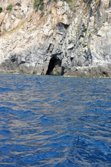 costa viola