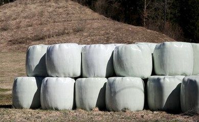 hay bales wrapped in cellophane in farm field