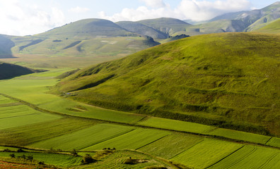 Piano Grande di Castelluccio (Italy)