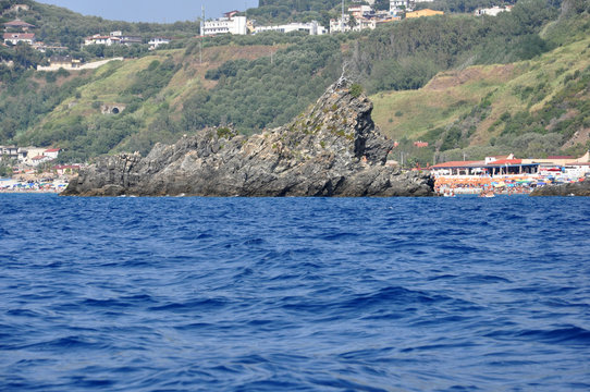 ulivarella palmi