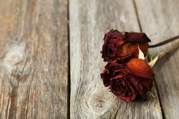 Dried roses on grey wooden background