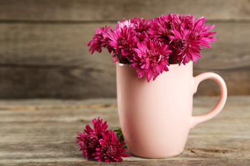 Beautiful purple chrysanthemums in cup on grey wooden background