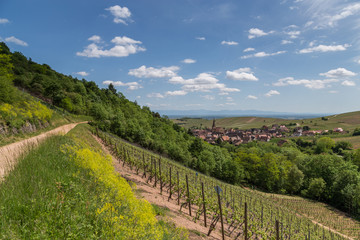 village d'Alsace