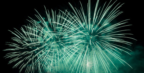 Green fireworks in the night sky