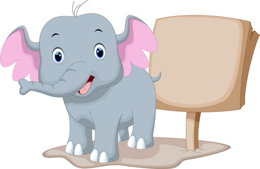 Cute baby elephant cartoon with a blank sign