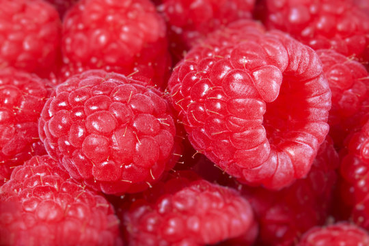 Raspberries macro
