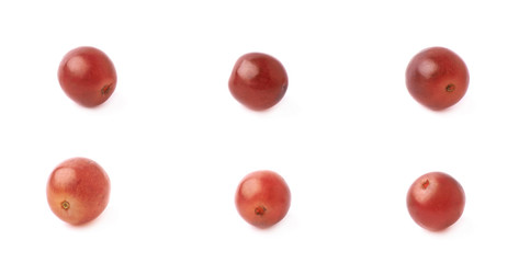 Six single dark red grapes isolated